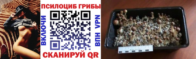 Галлюциногенные грибы ЛСД  Купить  Трёхгорный 
